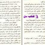 دانلود پی دی اف کتاب کار چاق کن عزیز نسین PDF