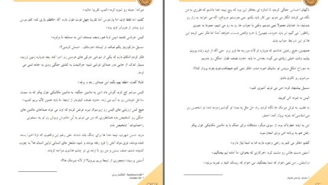 دانلود پی دی اف کتاب پیشگوی مخفی جلد اول از مجموعه آزمون های آپولو ریک ریردان PDF