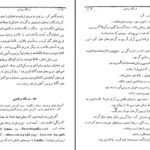 دانلود پی دی اف کتاب تاریخ ادیان جلد دوم میتولوژی اساطیر و افسانه ها هاشم رضی PDF