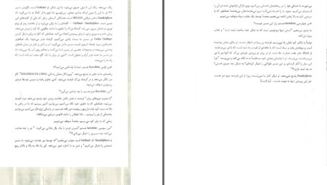 دانلود پی دی اف کتاب راز رازها و رازهای نانوشته ی عرفان رمز گونه مایکل آلبیون مک دونالد PDF
