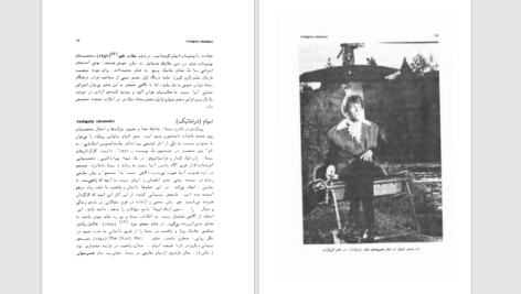 دانلود پی دی اف کتاب فرهنگ واژه های فیلم فرانک یوجین بیور ترجمه بیژن اشتری PDF