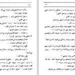 دانلود پی دی اف کتاب آدم های بی شناسنامه عزیزنسین PDF
