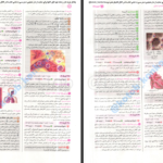 دانلود پی دی اف کتاب کنکوریوم تجربی جلد دوم PDF