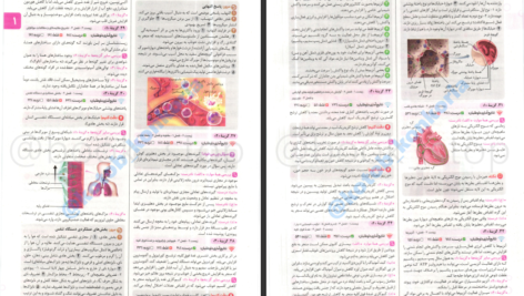 دانلود پی دی اف کتاب کنکوریوم تجربی جلد دوم PDF