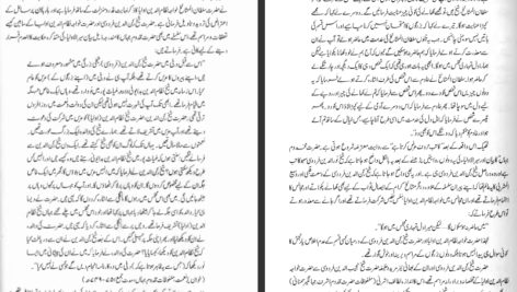 دانلود پی دی اف کتاب مناقب الاصفیاء قطب الدین ابوالمظفر PDF