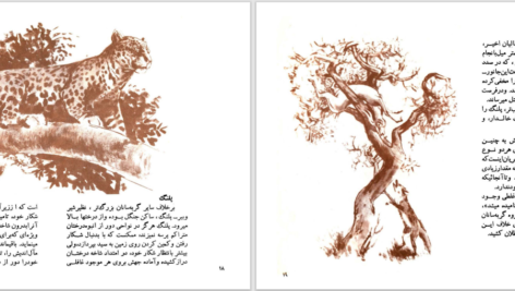 دانلود پی دی اف کتاب گربه سانان بزرگ دزموند موریس PDF