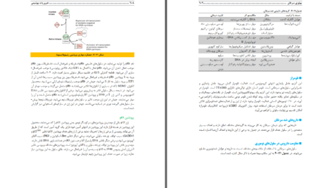 دانلود پی دی اف کتاب ضروریات بیوشیمی حیدری PDF