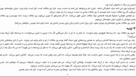 دانلود پی دی اف کتاب نگذار به بادبادک ها شلیک کنند فریده چیچک اوغلو PDF