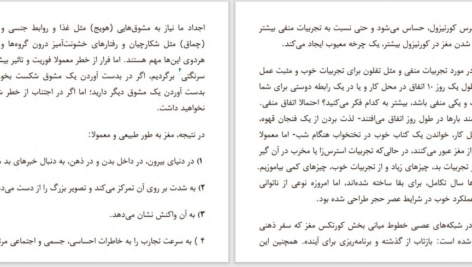 دانلود پی دی اف کتاب انعطاف‌پذیری ریک هانسون و فارست هانسون PDF