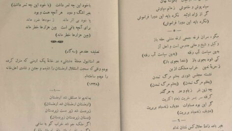 دانلود پی دی اف کتاب دیوان میرزا ابوالقاسم عارف قزوینی نوروز جمشیدی PDF