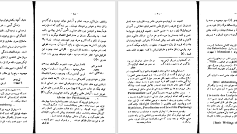دانلود پی دی اف کتاب فرویدیسم با اشاراتی به ادبیات و عرفان  PDF