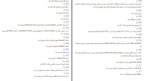 دانلود پی دی اف کتاب آتش کم فروغ ولادیمیر ناباکوف PDF