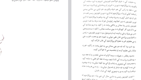 دانلود پی دی اف کتاب پل سوخته آخر دنیا نستوه نادری PDF
