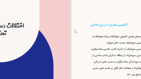 دانلود پی دی اف کتاب اختلالات دستگاه ادراری تحتانی PDF