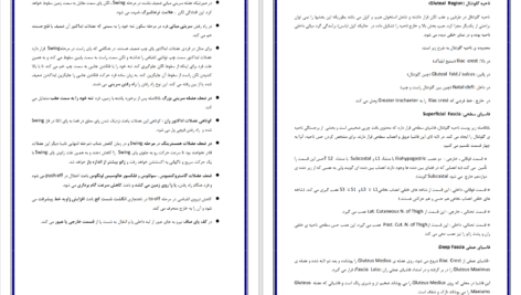 دانلود پی دی اف درسنامه آناتومی اندام تحتانی دکتر علی والیانی PDF