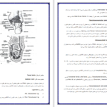 دانلود پی دی اف درسنامه آناتومی اندام تحتانی دکتر علی والیانی PDF