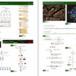 دانلود پی دی اف کتاب زیست شناسی سلولی مولکولی لودیش جلد 1 PDF