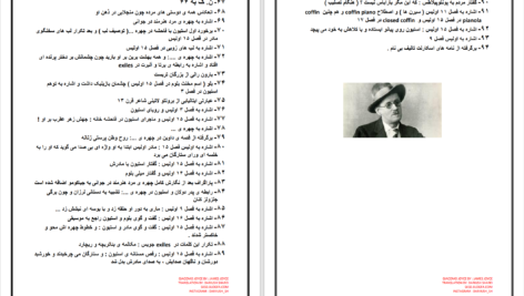دانلود پی دی اف کتاب جیاکومو جویس جیمز جویس PDF