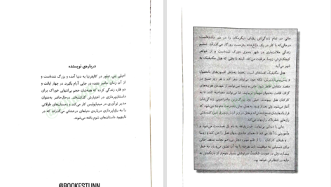 دانلود پی دی اف کتاب هتل مگنیفیک امیلی جی. تیلور PDF