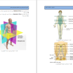 دانلود پی دی اف کتاب اصطلاحات آناتومی PDF