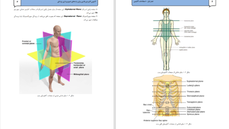 دانلود پی دی اف کتاب اصطلاحات آناتومی PDF