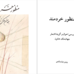 دانلود پی دی اف کتاب منظور خردمند پروین دولت آبادی PDF