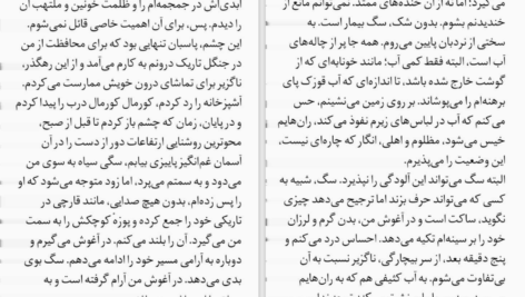 دانلود پی دی اف کتاب گریه‌ی آرام کنزابورو اوئه PDF