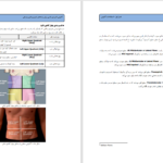 دانلود پی دی اف کتاب اصطلاحات آناتومی PDF