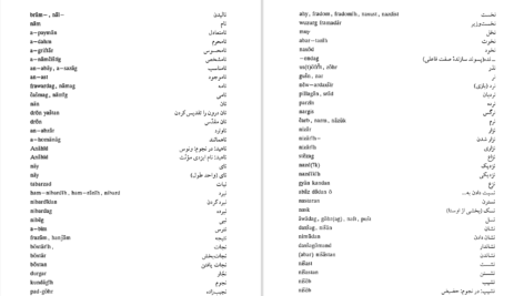 دانلود پی دی اف کتاب فرهنگ کوچک زبان پهلوی د. ن. مکنزی PDF