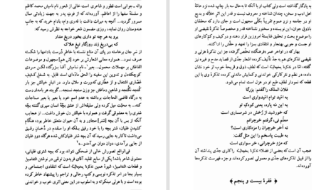 دانلود پی دی اف کتاب نقیضه و نقیضه سازان مهدی اخوان ثالث PDF