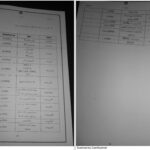 دانلود پی دی اف جزوه کامل میکروب شناسی گروهی از دانشجویان دانشگاه تهران PDF