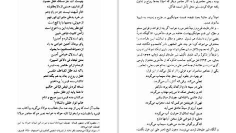 دانلود پی دی اف کتاب نقیضه و نقیضه سازان مهدی اخوان ثالث PDF