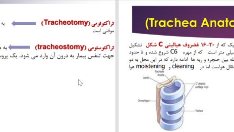دانلود پی دی اف کتاب تراکئوتومی عباس خلیل پور PDF