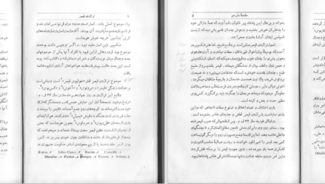 دانلود پی دی اف کتاب تراژدی قیصر ژولیوس سزار ویلیام شکسپیر PDF