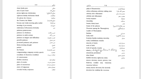 دانلود پی دی اف کتاب فرهنگ اصطلاحات عرفان اسلامی محمود موسوی PDF