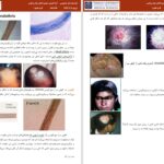 دانلود پی دی اف جزوه کامل قارچ‌شناسی گروهی از دانشجویان دانشگاه تهران PDF