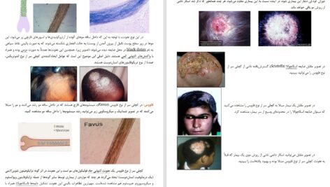 دانلود پی دی اف جزوه کامل قارچ‌شناسی گروهی از دانشجویان دانشگاه تهران PDF