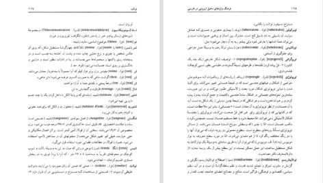 دانلود پی دی اف کتاب فرهنگ واژه های دخیل اروپایی در فارسی رضا زمردیان PDF