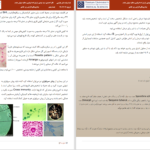 دانلود پی دی اف جزوه کامل قارچ‌شناسی گروهی از دانشجویان دانشگاه تهران PDF