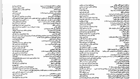 دانلود پی دی اف کتاب نقطه ضعف آنتونیس ساماراکیس PDF