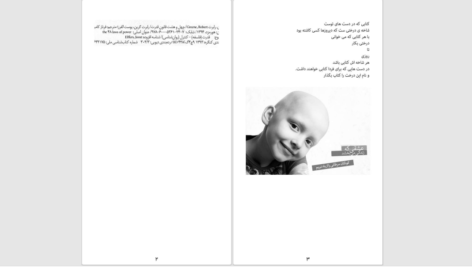 دانلود پی دی اف کتاب چهل و هشت قانون قدرت رابرت گرین PDF