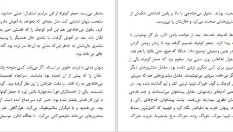 دانلود پی دی اف کتاب پنهان الیف شافاک PDF
