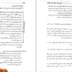 دانلود پی دی اف کتاب تلخیص کتاب الخیارات مسلم قلی پور PDF