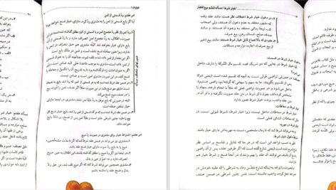 دانلود پی دی اف کتاب تلخیص کتاب الخیارات مسلم قلی پور PDF