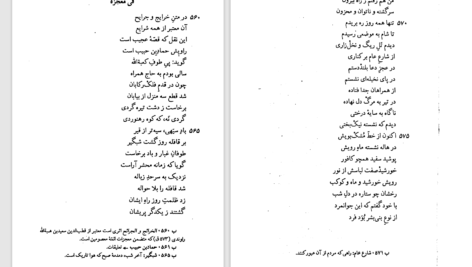 دانلود پی دی اف کتاب نورالمشرقین عبدالله ثانی PDF