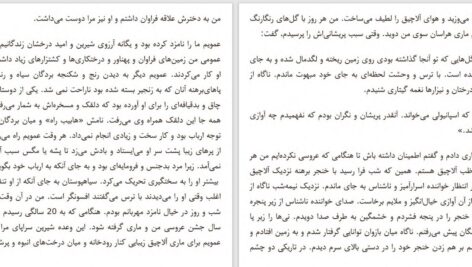 دانلود پی دی اف کتاب شاهکارهای کوتاه ویکتور هوگو PDF