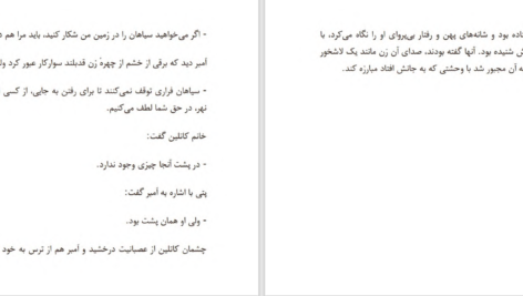 دانلود پی دی اف کتاب آواز ناتمام جیمز مک براید PDF