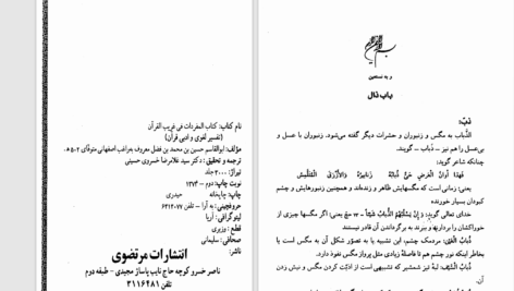 دانلود پی دی اف کتاب مفردات الفاظ قرآن جلد 2 راغب اصفهانی PDF