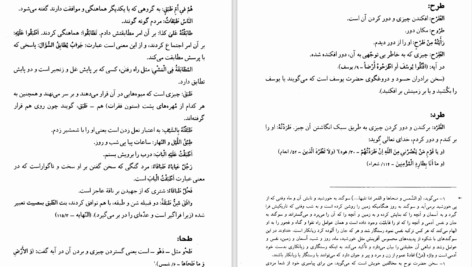 دانلود پی دی اف کتاب مفردات الفاظ قرآن جلد 2 راغب اصفهانی PDF