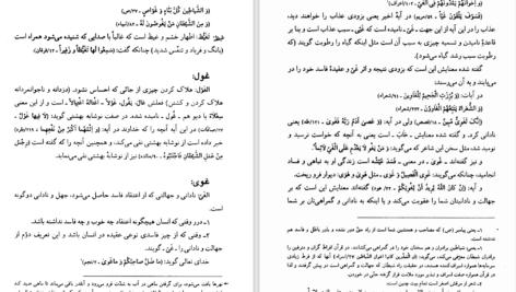دانلود پی دی اف کتاب مفردات الفاظ قرآن جلد 2 راغب اصفهانی PDF